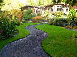 Cleanly landscaped yard with manicured trees, cared for by tree service in Smithville, as seen from the bottom of a windy driveway