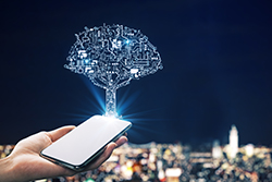 Technology and it's relation to tree service in Smithville