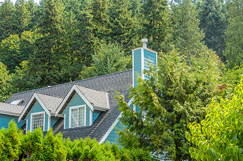 Blue home peeking out among a grove of mature, healthy trees cared for by tree service in Smithville